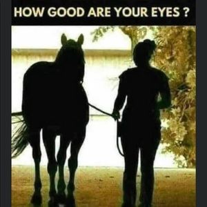 Meet your Posher, Jan